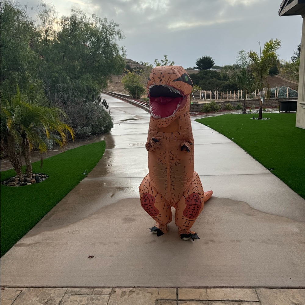 Colorful Inflatable Costume - Picture 4 of 4